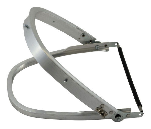 Universal-visor carrier